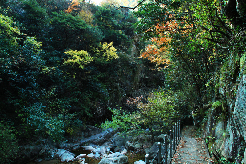 原始大森林—塔畈板倉(cāng)