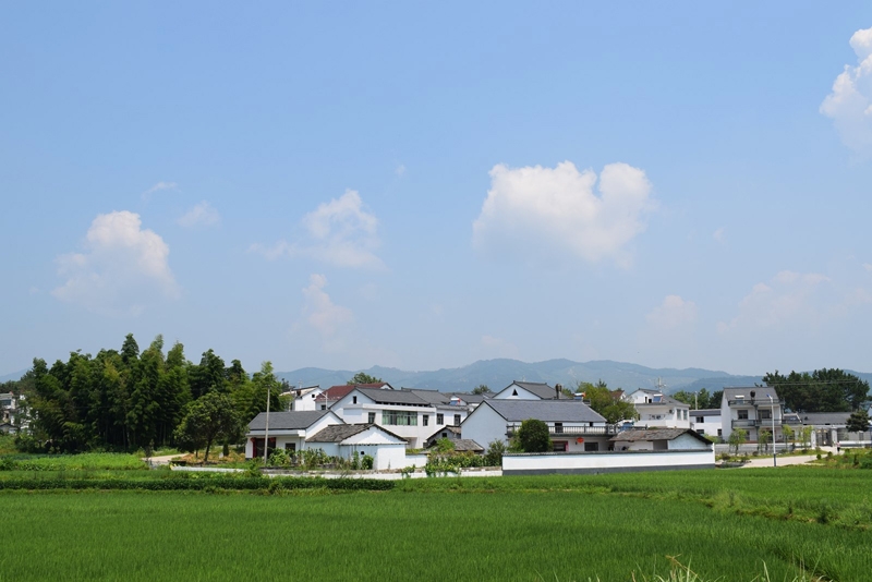 1493346070134715.jpg 金龍上沖美麗鄉(xiāng)村_副本.JPG