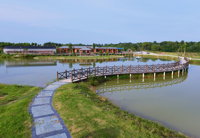 1493346146155344.jpg 望虎園林.JPG